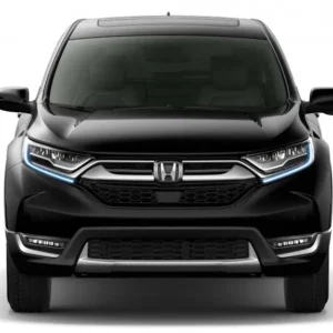  Service Records  Title Check  Odometer History  Inspection Reports Status Safety Recall  Vehicle specifications Accidental Information.  Never Expires